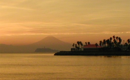 【小坪マリーナ】ボートレンタル・ライセンス・陸置保管料・店内ご利用割引チケットC