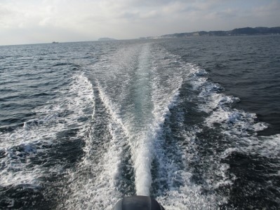 【小坪マリーナ】ボートレンタル・ライセンス・陸置保管料・店内ご利用割引チケットC