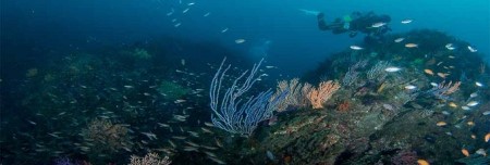 逗子・葉山ダイビングリゾート（小坪）で使えるご利用割引券A