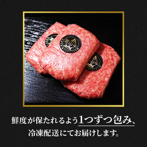 冨士屋牛肉店 葉山牛入り ハンバーグ 5個入 和牛