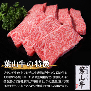 冨士屋牛肉店 葉山牛入り ハンバーグ 5個入 和牛