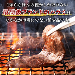 牛肉 焼肉 冨士屋牛肉店 最高級ブランド 黒毛和牛 ハラミ 塩麹漬け 500g 自家製加工 牛和牛 肉 お肉 塩こうじ