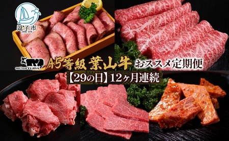 【29の日定期便】12ヶ月連続 葉山牛 定期便 カタログ ギフト カルビ切り落し ジューシー 黒毛和牛 霜降り 赤身 肉 焼く 家族 贈り物 受賞 うし 和牛 冷凍 良質 冷凍便 送料無料 冨士屋牛肉店 神奈川県 逗子市