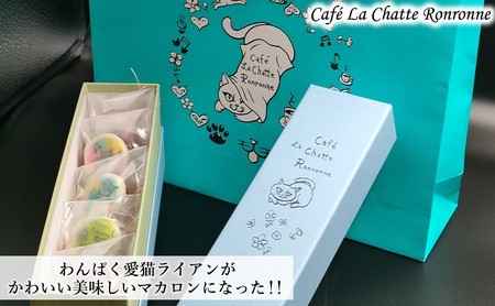 わんぱく 愛猫 ライアン かわいい 美味しい マカロン