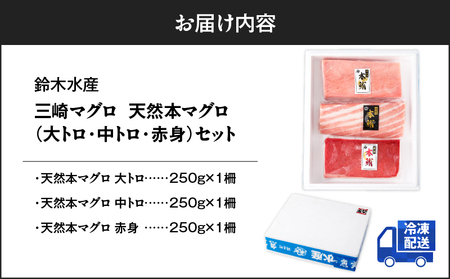 三崎マグロ 鈴木水産 天然本マグロ （ 大トロ ・ 中トロ 赤身 ） セット M105-002 本まぐろ 本マグロ ふるさと納税 神奈川県 三浦市 おすすめ ランキング プレゼント ギフト