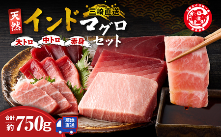 三崎マグロ 鈴木水産 天然インドマグロ （ 大トロ ・ 中トロ 赤身 ） セット M105-001 冷凍 マグロ