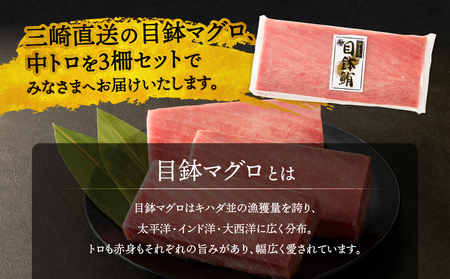 三崎マグロ 鈴木水産 天然マグロ （ 中トロ 3柵 ） セット M105-003 目鉢マグロ ふるさと納税 神奈川県 三浦市 おすすめ ランキング プレゼント ギフト