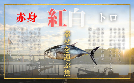 【年末・正月用/12月30日お届け】天然 本まぐろ お祝い 寿 セット 中トロ 200g 赤身 迎春 三崎まぐろ 三崎恵水産 M020-021-02 まぐろ マグロ 鮪 本マグロ 本鮪 魚 お魚 魚類 魚介類 お正月 お正月用 年末 年末用 年内お届け 年内配送 年内発送 贅沢 ご褒美 ご馳走 美味しい 縁起物 年末年始 ご挨拶 贈り物 お刺身 手巻き寿司 寿司 お寿司 和え物 おせち料理 おせち ふるさと納税 神奈川県 三浦市 おすすめ ランキング プレゼント ギフト 【まぐろ専門の卸問屋です】
