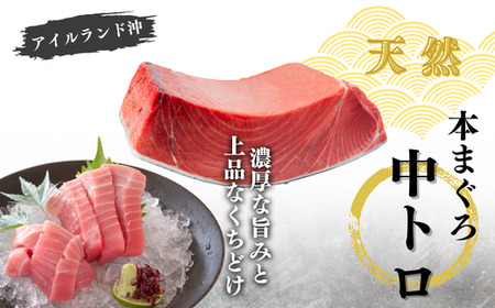 【年末・正月用/12月30日お届け】天然 本まぐろ お祝い 寿 セット 中トロ 200g 赤身 迎春 三崎まぐろ 三崎恵水産 M020-021-02 まぐろ マグロ 鮪 本マグロ 本鮪 魚 お魚 魚類 魚介類 お正月 お正月用 年末 年末用 年内お届け 年内配送 年内発送 贅沢 ご褒美 ご馳走 美味しい 縁起物 年末年始 ご挨拶 贈り物 お刺身 手巻き寿司 寿司 お寿司 和え物 おせち料理 おせち ふるさと納税 神奈川県 三浦市 おすすめ ランキング プレゼント ギフト 【まぐろ専門の卸問屋です】