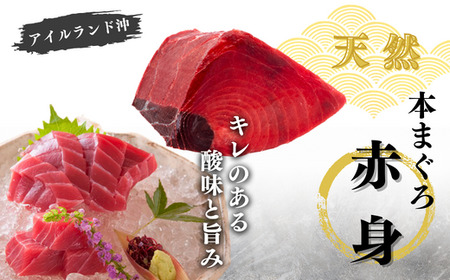 【年末・正月用/12月30日お届け】天然 本まぐろ お祝い 寿 セット 中トロ 200g 赤身 迎春 三崎まぐろ 三崎恵水産 M020-021-02 まぐろ マグロ 鮪 本マグロ 本鮪 魚 お魚 魚類 魚介類 お正月 お正月用 年末 年末用 年内お届け 年内配送 年内発送 贅沢 ご褒美 ご馳走 美味しい 縁起物 年末年始 ご挨拶 贈り物 お刺身 手巻き寿司 寿司 お寿司 和え物 おせち料理 おせち ふるさと納税 神奈川県 三浦市 おすすめ ランキング プレゼント ギフト 【まぐろ専門の卸問屋です】