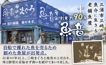 3回お届け！三崎魚音の味堪能定期便 M006-T01 