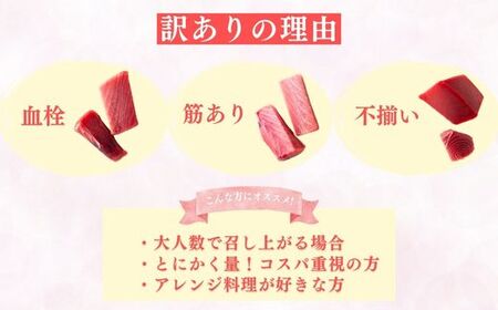 B10-005 【訳あり】天然三崎まぐろ1kg たっぷり10人分！不揃い赤身 SDGs 家計応援 刺身 海鮮