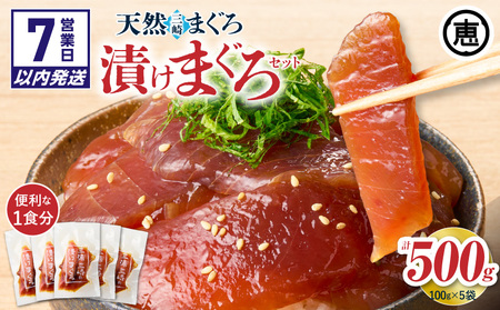 【7営業日以内に発送 または 配送月が選べる】手軽にタンパク質！ まぐろ漬け丼 のもと 100g×5袋（ 解凍するだけ 、 ご飯にのせるだけ ）M020-015 冷凍 マグロ 【 まぐろ専門の卸問屋です 】