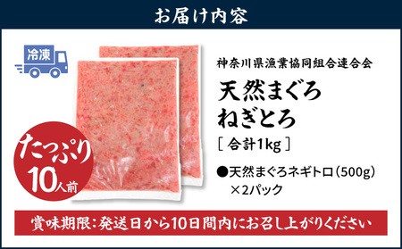 【 神奈川県漁連 】 ＜ お徳用 ＞ 天然 まぐろ ねぎとろ 1kg（ 500g × 2P ） M077-011-02 マグロ 鮪 ネギトロ 天然メバチまぐろ キハダまぐろ 国産 便利 時短 手巻き寿司 軍艦巻き 冷凍 神奈川県漁業協同組合連合会 ふるさと納税 神奈川県 三浦市 おすすめ ランキング プレゼント ギフト
