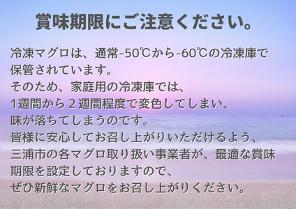 B10-004 神奈川県漁連　天然目鉢マグロ　赤身サク　150ｇ×2P