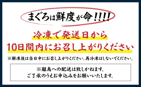 神奈川県 漁連 天然本マグロ 赤身サク M077-012-01  まぐろ 天然まぐろ 赤身 神奈川県漁業協同組合連合会 ふるさと納税 三浦市 おすすめ ランキング プレゼント ギフト