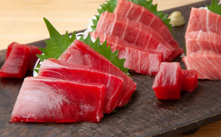 神奈川県漁連 天然本マグロ 中トロ・赤身セット M077-012-03 