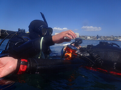 三浦半島城ヶ島の海でステップアップ PADIアドバンスドオープンウォーターライセンス取得 M064-004 