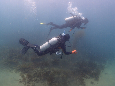 三浦半島城ヶ島の海でステップアップ PADIアドバンスドオープンウォーターライセンス取得 M064-004 