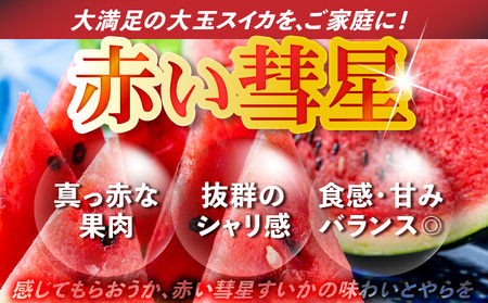 有機肥料 で育てた 大玉 スイカ 【 赤い彗星 】（ 1個 入り ） M002-007 【 期間限定 】 果物 すいか