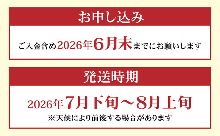 有機肥料 で育てた 大玉 スイカ 【 赤い彗星 】（ 1個 入り ） M002-007 【 期間限定 】 果物 すいか