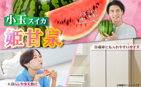 有機肥料 で 育てた 小玉 スイカ 【 姫甘泉 】（ 2個 入り ） M002-008 すいか 西瓜 フルーツ 果物 果実 小玉スイカ オリジナル ジューシー 甘い 夏季限定 限定 数量限定 期間限定 あまい 美味しい おいしい デザート ご褒美 みずみずしい 季節物 季節商品 丸徳農産 ふるさと納税 神奈川県 三浦市 おすすめ ランキング プレゼント ギフト