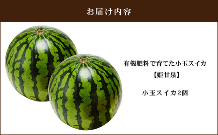 有機肥料 で 育てた 小玉 スイカ 【 姫甘泉 】（ 2個 入り ） M002-008 すいか 西瓜 フルーツ 果物 果実 小玉スイカ オリジナル ジューシー 甘い 夏季限定 限定 数量限定 期間限定 あまい 美味しい おいしい デザート ご褒美 みずみずしい 季節物 季節商品 丸徳農産 ふるさと納税 神奈川県 三浦市 おすすめ ランキング プレゼント ギフト