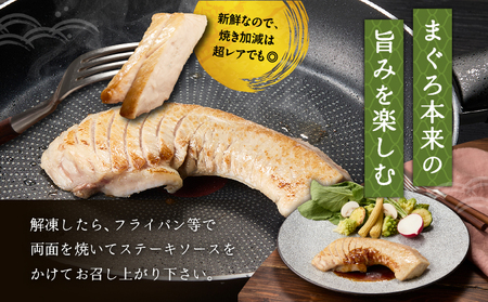 まぐろ ステーキ M024-007 マグロ 鮪 メバチマグロ 天然 天然まぐろ マグロステーキ 魚 海鮮 魚介 丸福水産 ふるさと納税 神奈川県 三浦市 おすすめ ランキング プレゼント ギフト