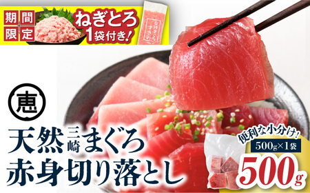 【期間限定 ねぎとろ付き】＜選べる＞天然 三崎まぐろ 赤身 切落し 500g （500g×1袋） M020-014-04-cp まぐろ 鮪 マグロ 問屋直送 切り落とし お刺身 漬け丼 手巻き寿司 パーティー 柵どり済 三崎恵水産 ふるさと納税 神奈川 三浦市 おすすめ ランキング プレゼント ギフト 【まぐろ専門の卸問屋です】