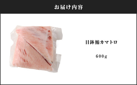 目鉢鮪 カマトロ 600g M081-009 マグロ 鮪 まぐろ 目鉢まぐろ 目鉢マグロ 脂カマ 希少部位 希少 しゃぶしゃぶ 刺身 まぐろ通 人気 美味しい おいしい 贅沢 ご褒美 テイ・エス・シイ ふるさと納税 神奈川県 三浦市 おすすめ ランキング プレゼント ギフト