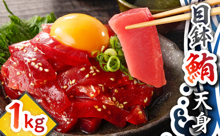 目鉢鮪 天身 1kg M081-010 マグロ 鮪 まぐろ 目鉢まぐろ 目鉢マグロ ヘルシー 赤身 最上級 美味しい おいしい 贅沢 ご褒美 テイ・エス・シイ ふるさと納税 神奈川県 三浦市 おすすめ ランキング プレゼント ギフト