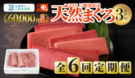 【 全6回 定期便 】老舗 三崎 まぐろ 問屋 から 直送 ！天然マグロ 赤身 3kg を お届け M063-T09 【 訳あり 】 冷凍 マグロ 定期