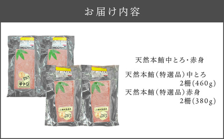 天然 本鮪 中とろ 2柵 ・ 赤身 2柵 M007-008-01 冷凍 マグロ