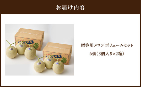 贈答用メロン ボリューム セット M001-006 【 期間限定 】 果物 メロン