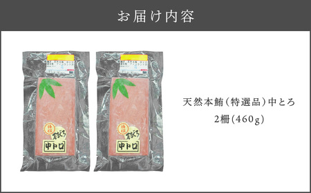 天然 本鮪 中とろ 2柵 M007-006-01 冷凍 マグロ