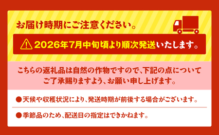 【 三浦 農家 直送 】小玉 スイカ（4個入り） M003-001 すいか 西瓜 フルーツ 果物 果実 小玉スイカ オリジナル ジューシー 甘い 夏季限定 限定 数量限定 期間限定 有機肥料 あまい 美味しい おいしい デザート ご褒美 みずみずしい 季節物 季節商品 旬の果物 贈答 プレゼント ヤマイチ農園 ふるさと納税 神奈川 三浦市 おすすめ ランキング ギフト