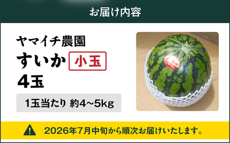 【 三浦 農家 直送 】小玉 スイカ（4個入り） M003-001 すいか 西瓜 フルーツ 果物 果実 小玉スイカ オリジナル ジューシー 甘い 夏季限定 限定 数量限定 期間限定 有機肥料 あまい 美味しい おいしい デザート ご褒美 みずみずしい 季節物 季節商品 旬の果物 贈答 プレゼント ヤマイチ農園 ふるさと納税 神奈川 三浦市 おすすめ ランキング ギフト