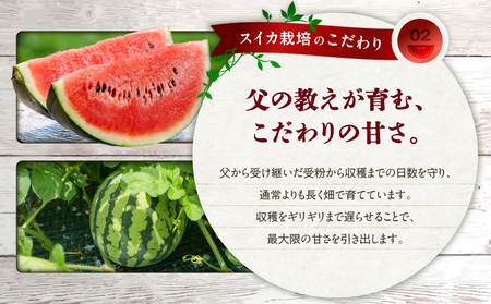 【  三浦 農家 直送 】大玉 スイカ（2個入り） M003-003 すいか 西瓜 フルーツ 果物 果実 大玉スイカ オリジナル ジューシー 甘い 夏季限定 限定 数量限定 期間限定 有機肥料 あまい 美味しい おいしい デザート ご褒美 みずみずしい 季節物 季節商品 旬の果物 贈答 プレゼント ヤマイチ農園 ふるさと納税 神奈川 三浦市 おすすめ ランキング ギフト