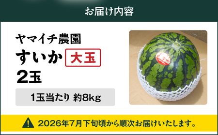 【  三浦 農家 直送 】大玉 スイカ（2個入り） M003-003 すいか 西瓜 フルーツ 果物 果実 大玉スイカ オリジナル ジューシー 甘い 夏季限定 限定 数量限定 期間限定 有機肥料 あまい 美味しい おいしい デザート ご褒美 みずみずしい 季節物 季節商品 旬の果物 贈答 プレゼント ヤマイチ農園 ふるさと納税 神奈川 三浦市 おすすめ ランキング ギフト