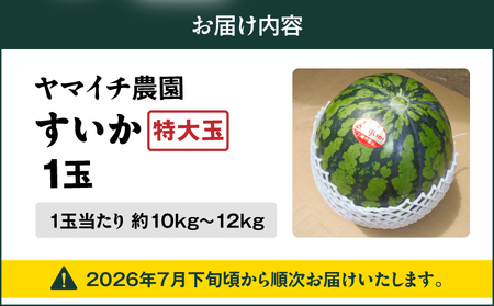 【 三浦 農家 直送 】特大玉 スイカ（1個入り） M003-004  すいか 西瓜 フルーツ 果物 果実 特大玉スイカ オリジナル ジューシー 甘い 夏季限定 限定 数量限定 期間限定 有機肥料 あまい 美味しい おいしい デザート ご褒美 みずみずしい 季節物 季節商品 旬の果物 贈答 プレゼント ヤマイチ農園 ふるさと納税 神奈川 三浦市 おすすめ ランキング ギフト