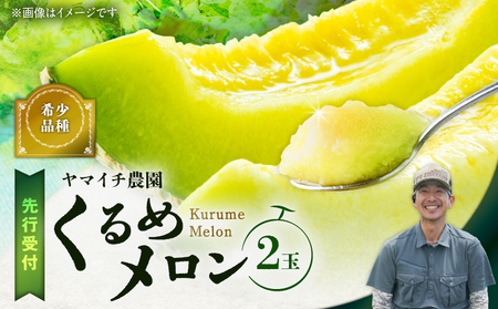 【 三浦 農家 直送 】くるめ メロン（2個入り） M003-006 甘い 甘味 果物 フルーツ 採れたて 贅沢 夏季 期間限定 限定 めろん 旬の果物 果実 贈答 プレゼント ヤマイチ農園 ふるさと納税 神奈川 三浦市 おすすめ ランキング ギフト