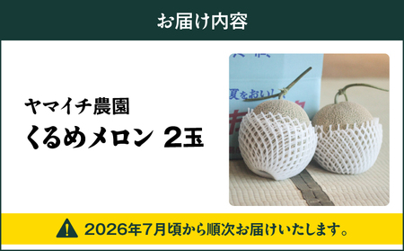 【 三浦 農家 直送 】くるめ メロン（2個入り） M003-006 甘い 甘味 果物 フルーツ 採れたて 贅沢 夏季 期間限定 限定 めろん 旬の果物 果実 贈答 プレゼント ヤマイチ農園 ふるさと納税 神奈川 三浦市 おすすめ ランキング ギフト