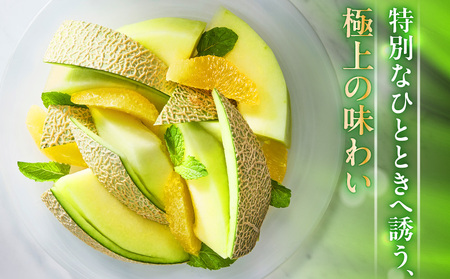 贈答用メロン M001-001 【 期間限定 】 果物 メロン