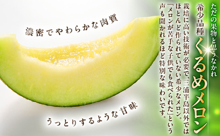 贈答用メロン M001-001 【 期間限定 】 果物 メロン