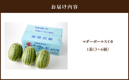 マダーボールスイカ M001-002 【 期間限定 】 果物 すいか