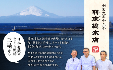 【高島屋バイヤーセレクション】 漬け魚専門店の一膳づけ丼の具詰合せ M038-012 冷凍 マグロ 加工品