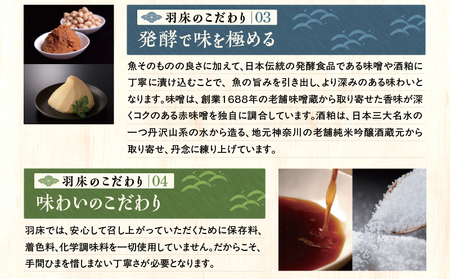 【高島屋バイヤーセレクション】 漬け魚専門店の一膳づけ丼の具詰合せ M038-012 冷凍 マグロ 加工品