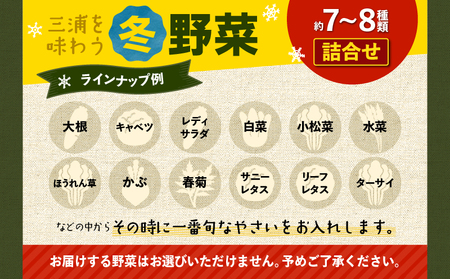 おいしさを全力に 三浦 の 野菜満杯セット（ 冬 ） M109-002-01 野菜 旬 詰め合わせ ミネラル 大根 キャベツ レディサラダ 白菜 小松菜 水菜 ほうれん草 カブ 春菊 サニーレタス リーフレタス ターサイ 冬野菜 三浦市農業協同組合 ふるさと納税 神奈川県 三浦市 おすすめ ランキング プレゼント ギフト
