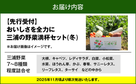 おいしさを全力に 三浦 の 野菜満杯セット（ 冬 ） M109-002-01 野菜 旬 詰め合わせ ミネラル 大根 キャベツ レディサラダ 白菜 小松菜 水菜 ほうれん草 カブ 春菊 サニーレタス リーフレタス ターサイ 冬野菜 三浦市農業協同組合 ふるさと納税 神奈川県 三浦市 おすすめ ランキング プレゼント ギフト