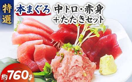 特選 本まぐろ 中トロ 赤身 ＋ たたき セット M006-013 冷凍 マグロ 9,750円
